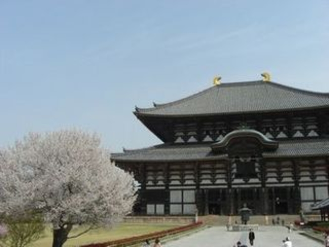 東大寺の桜