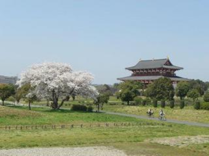 平城宮跡の桜