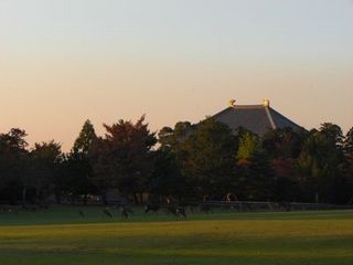 奈良公園・春日野