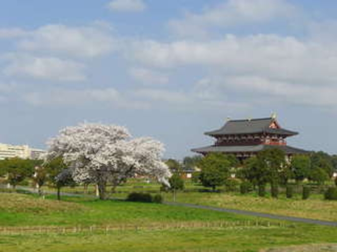 平城宮跡の桜