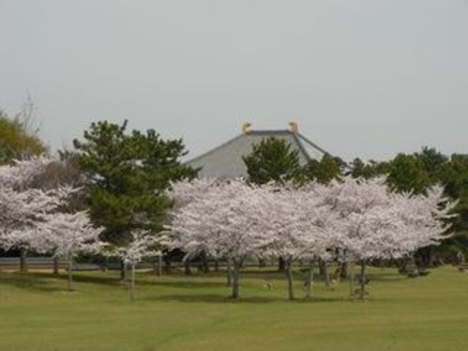 奈良公園の桜