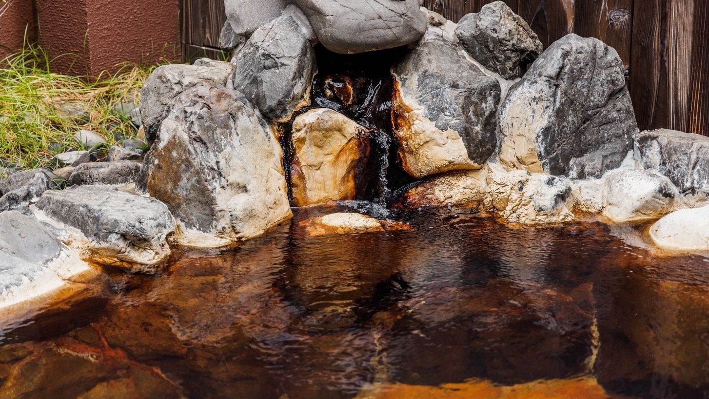 【直前割プラン】季節の食材を愉しむ【土地の恵みプラン】