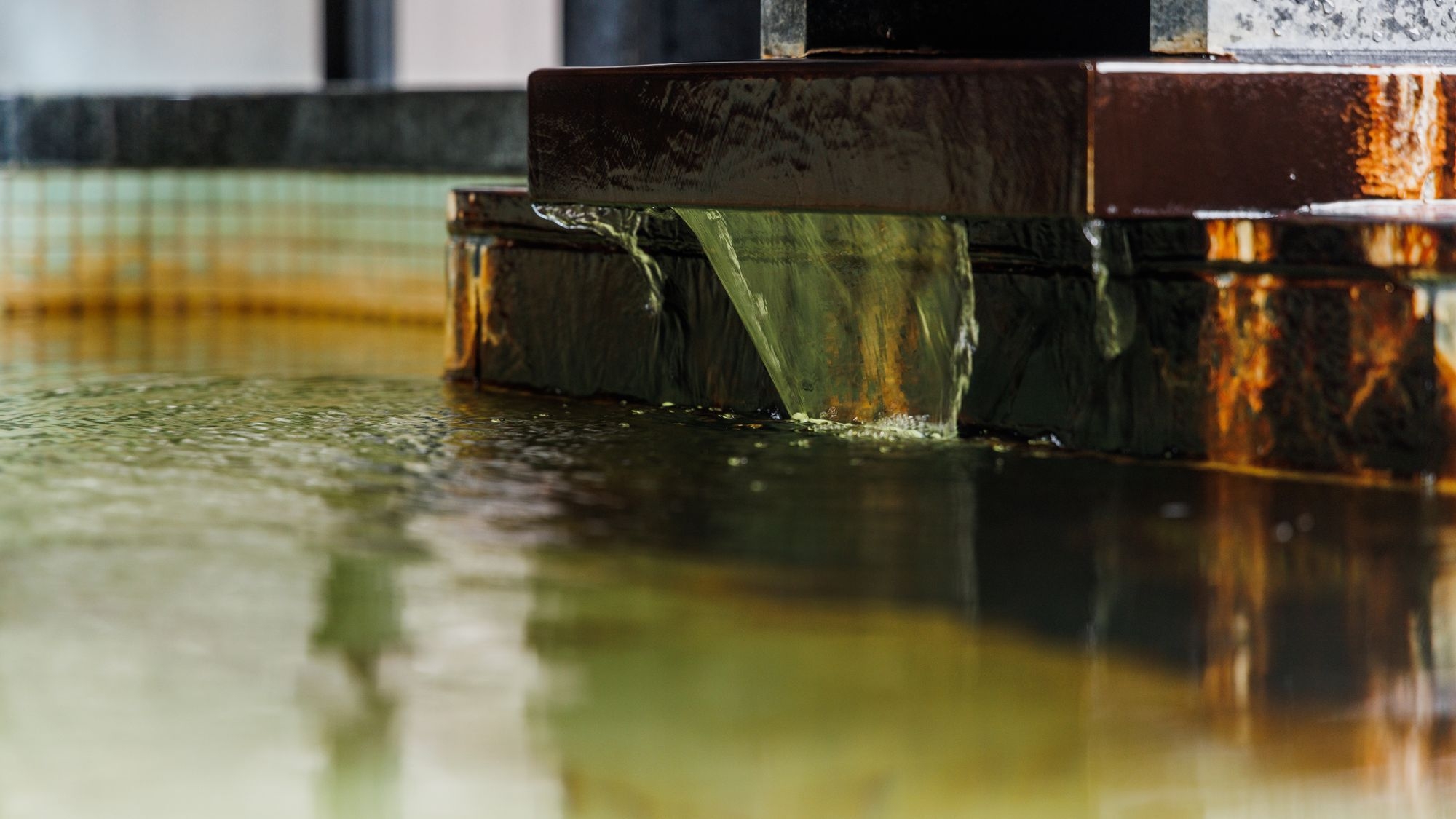 【直前割プラン】季節の食材を愉しむ【土地の恵みプラン】