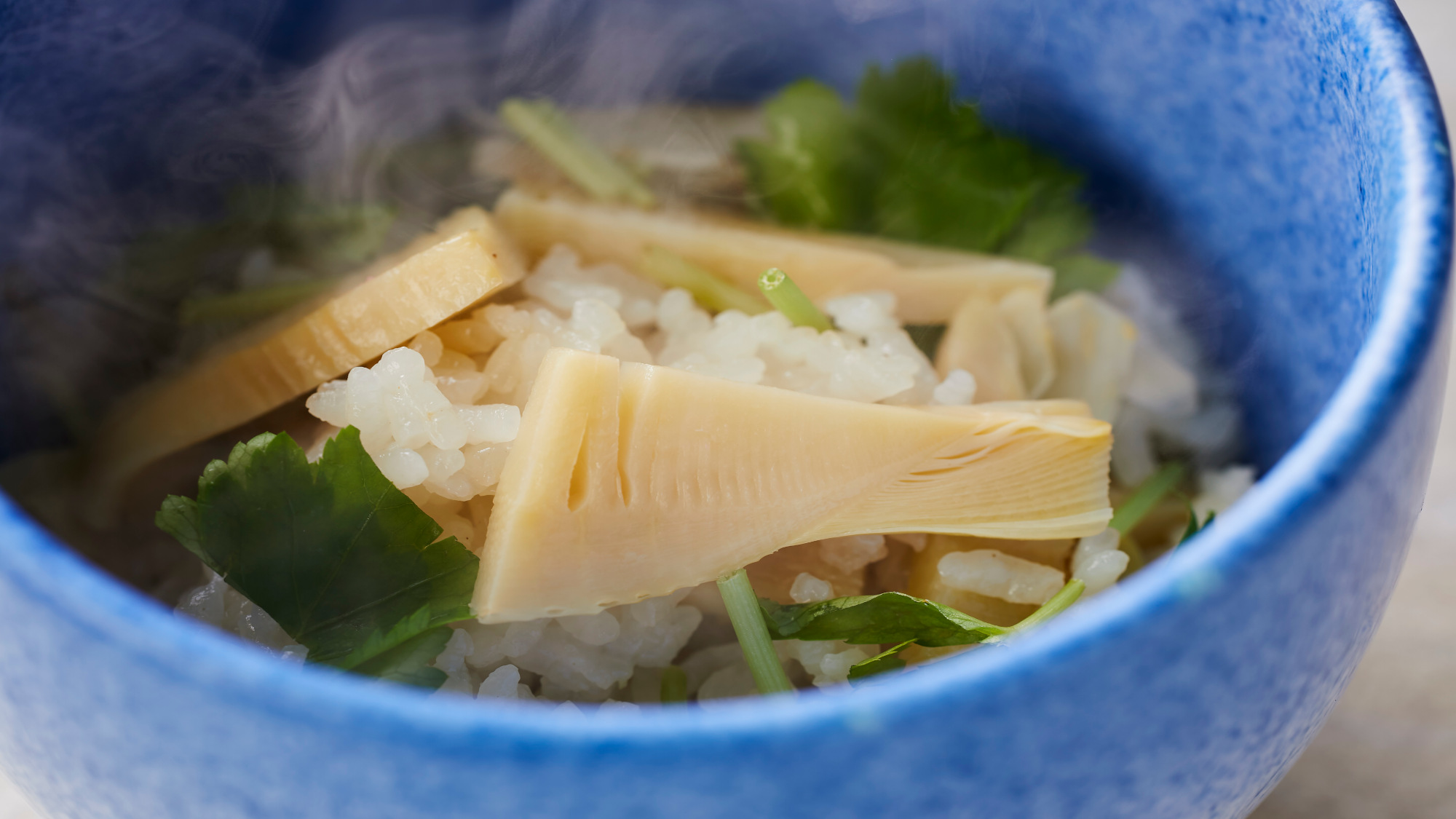 【季節の会席】春(2026年3月～5月)食事 筍ご飯