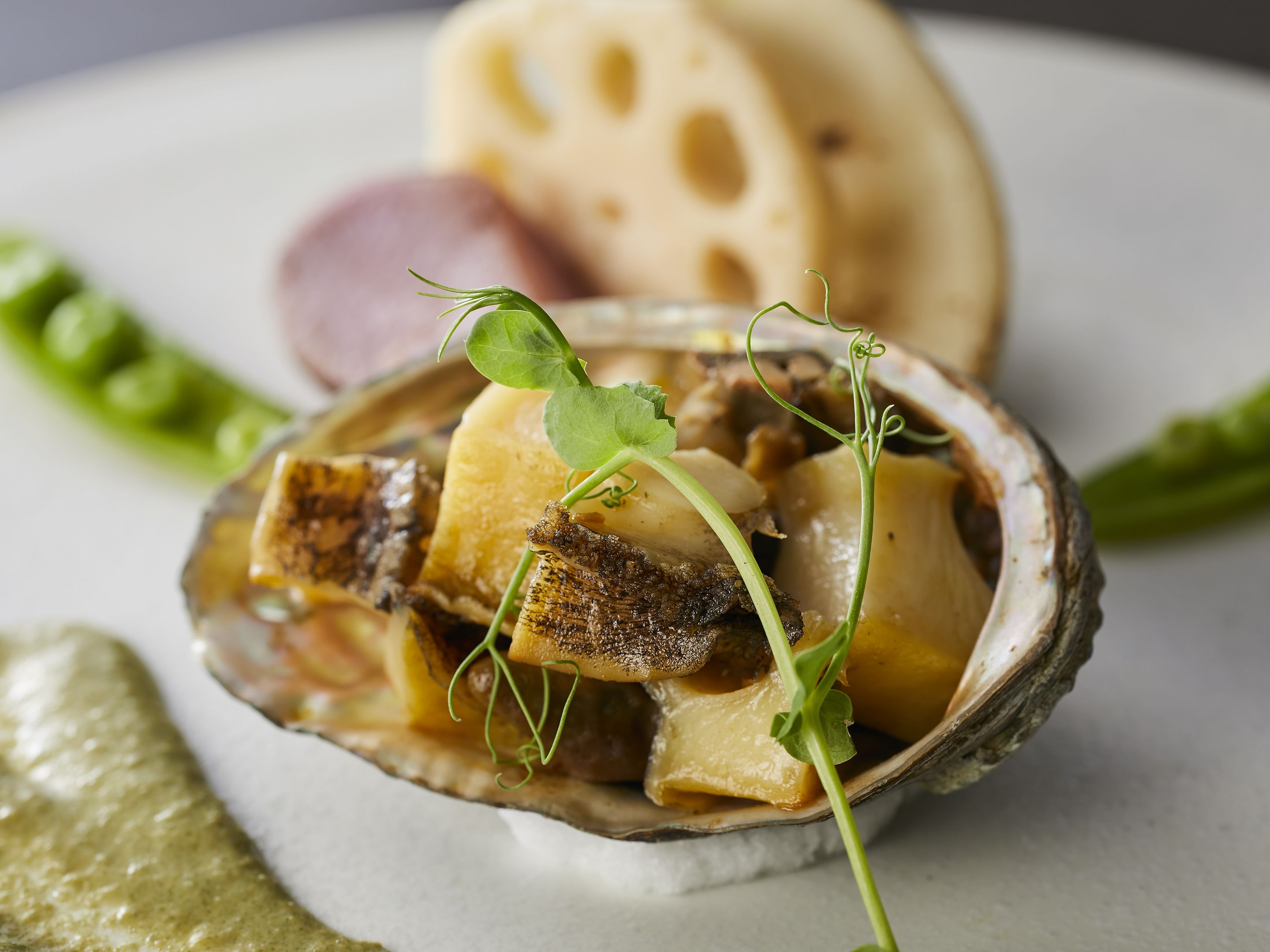 【土地の恵み会席】冬(2025年12月～2026年2月)焼き物  蒸し鮑炙り焼き