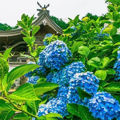 粟井神社