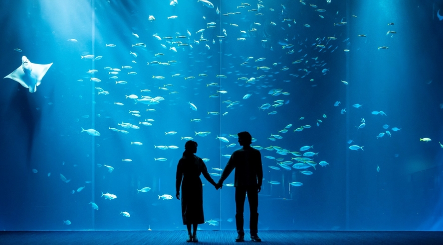 四国水族館「錦津見の景」