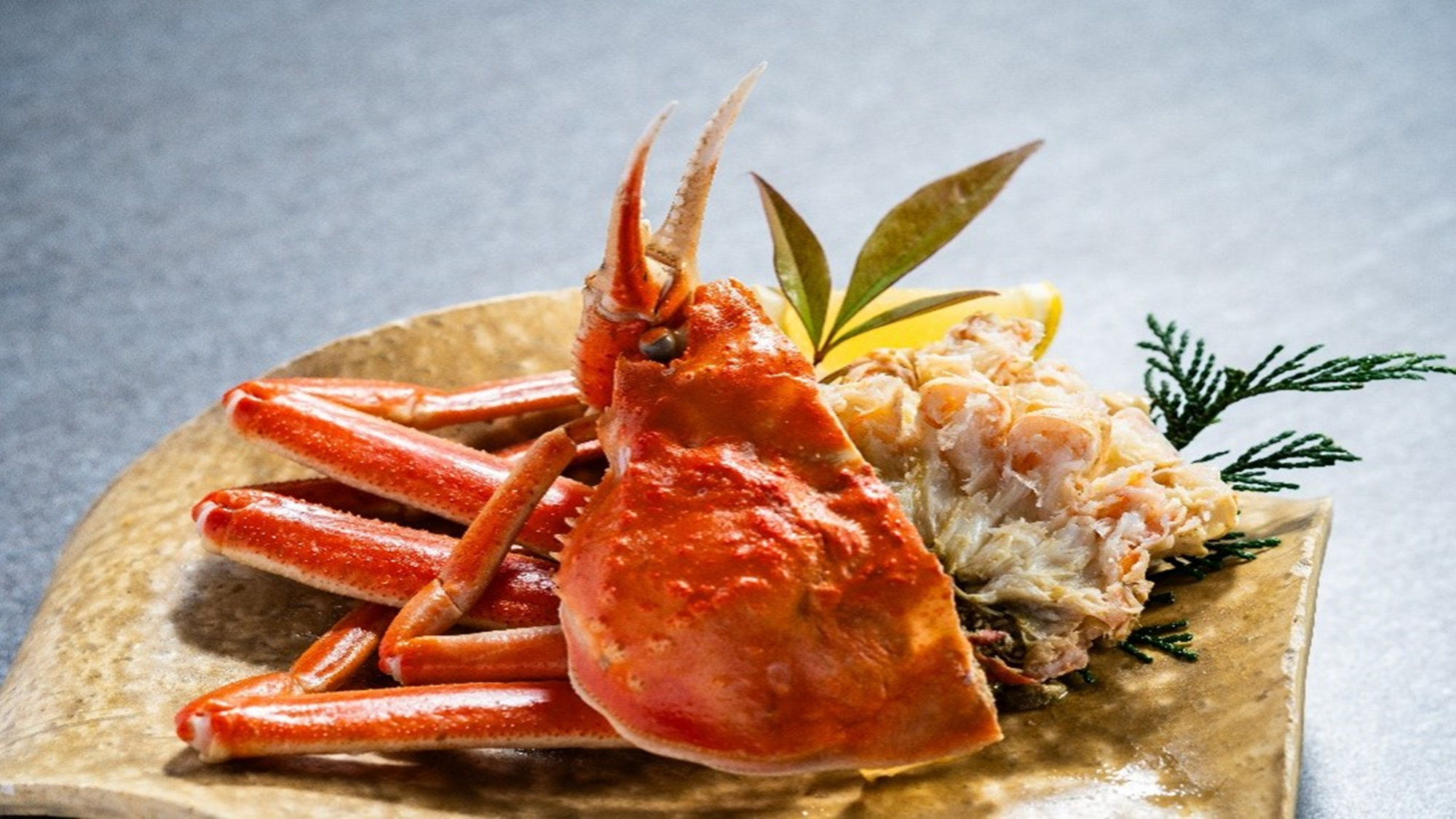 【土地の恵み会席】冬(2025年12月～2026年2月)  進肴 本ズワイ蟹（半身）