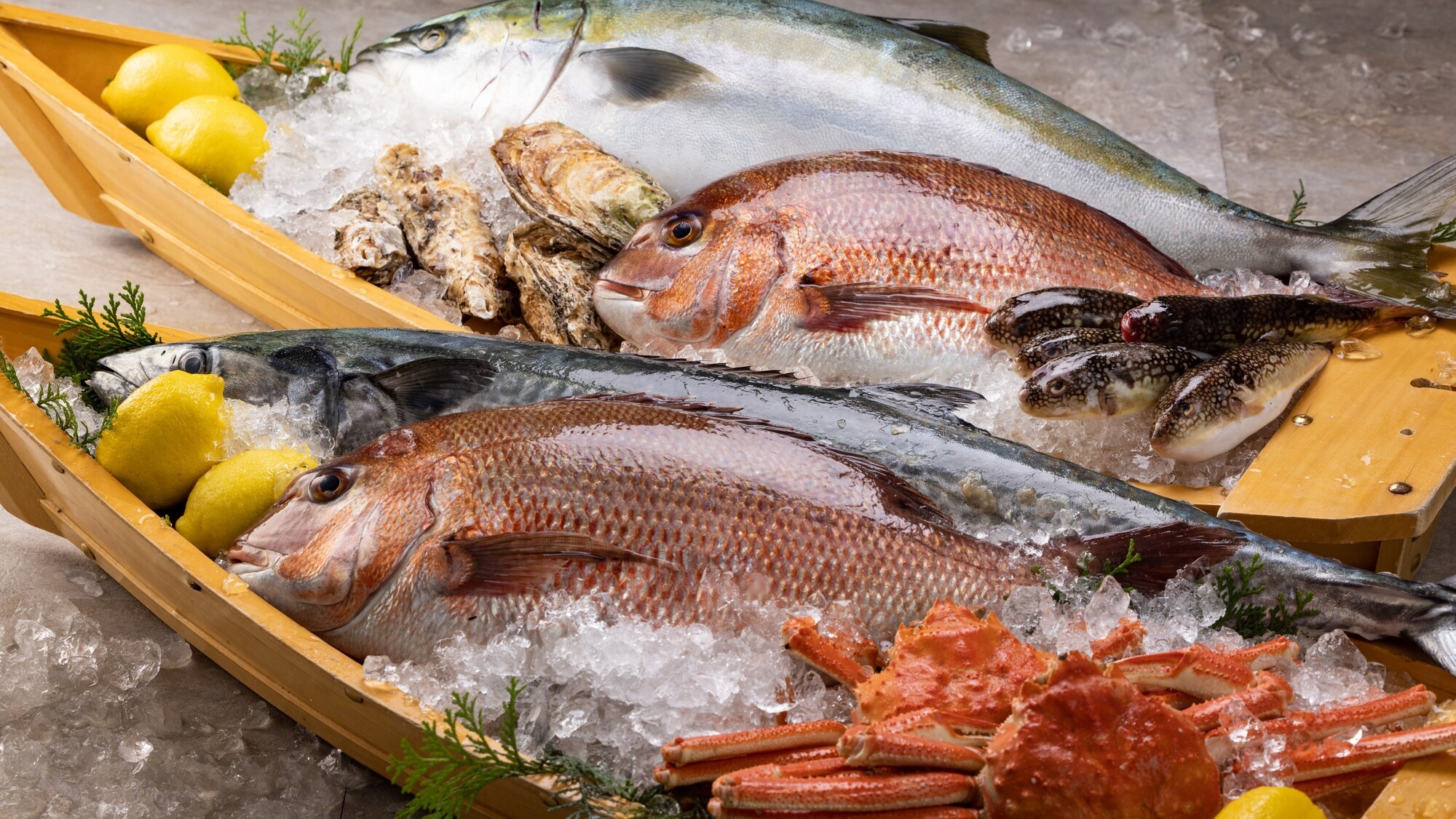 讃岐春の鮮魚