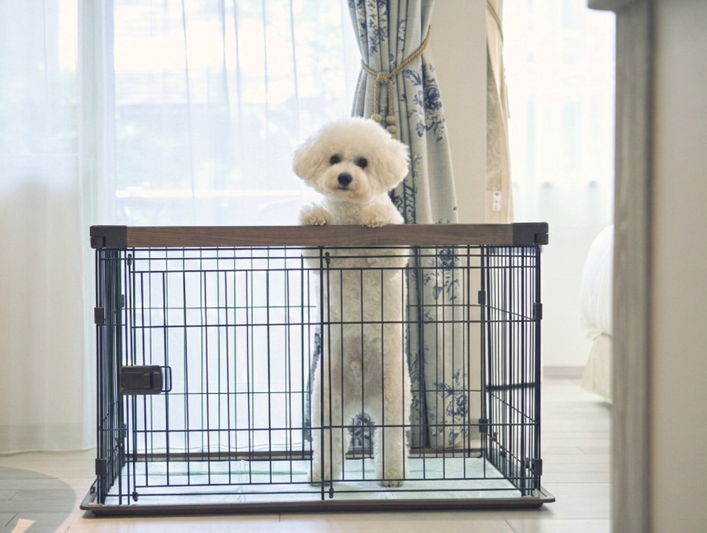 ペット同伴可能客室