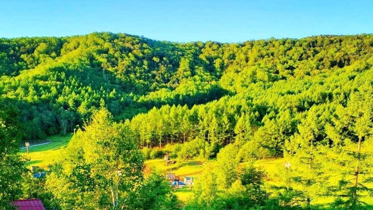 【2食付】女将の手作り料理でおもてなし♪木のぬくもりを感じる、八千穂の森に佇む小さな山荘。