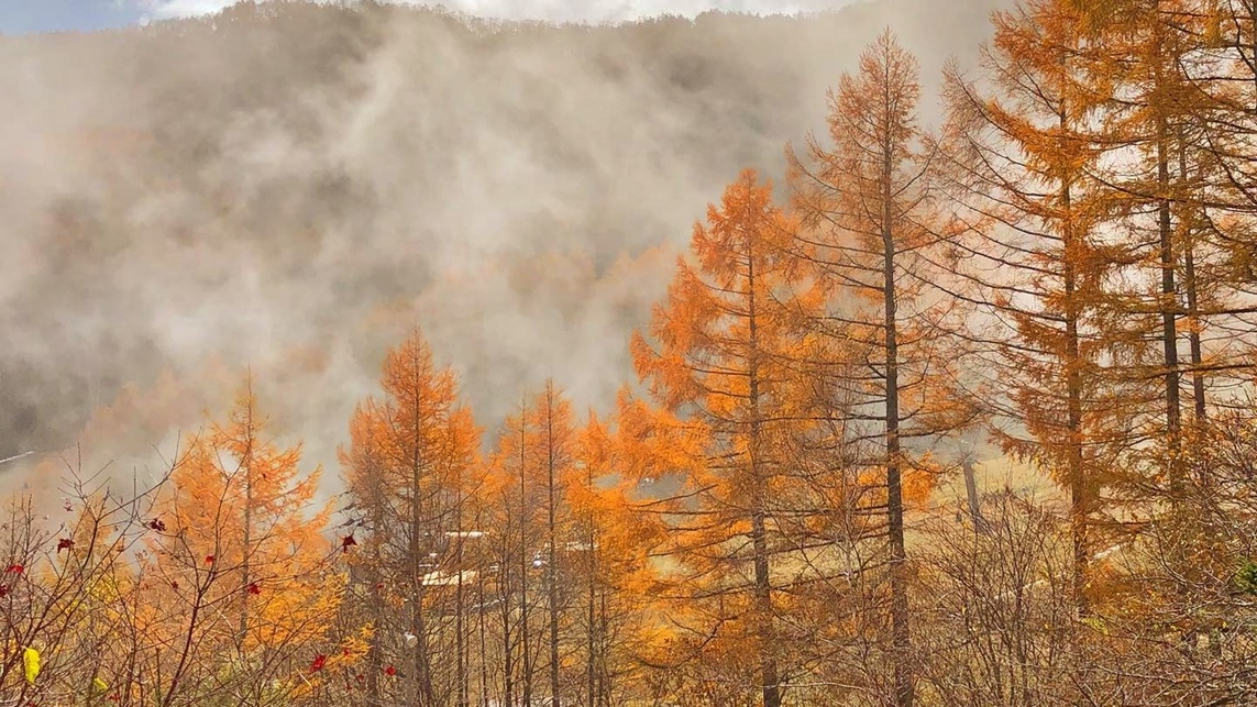 【2食付】女将の手作り料理でおもてなし！木のぬくもりを感じる、八千穂の森に佇む小さな山荘。