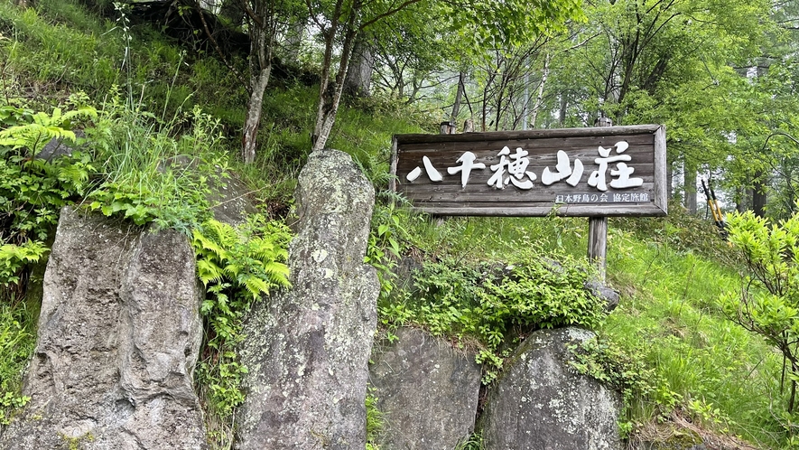 *[風景]大自然と野鳥のさえずりに包まれる八千穂高原の小さな山荘へようこそ！