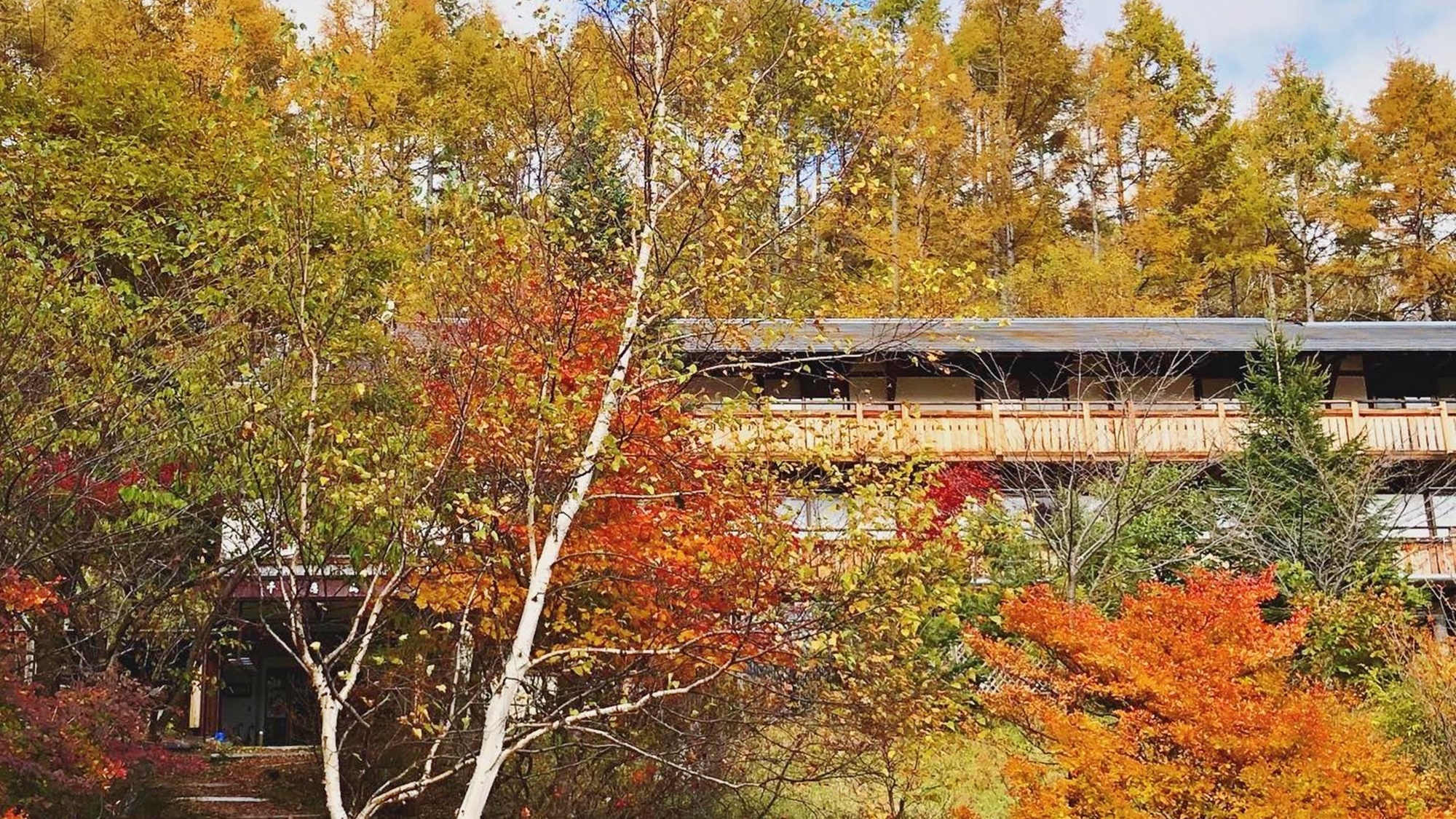 楽天トラベル 駒出池キャンプ場 周辺のホテル 旅館 楽天トラベル 駒出池キャンプ場 周辺のホテル 旅館