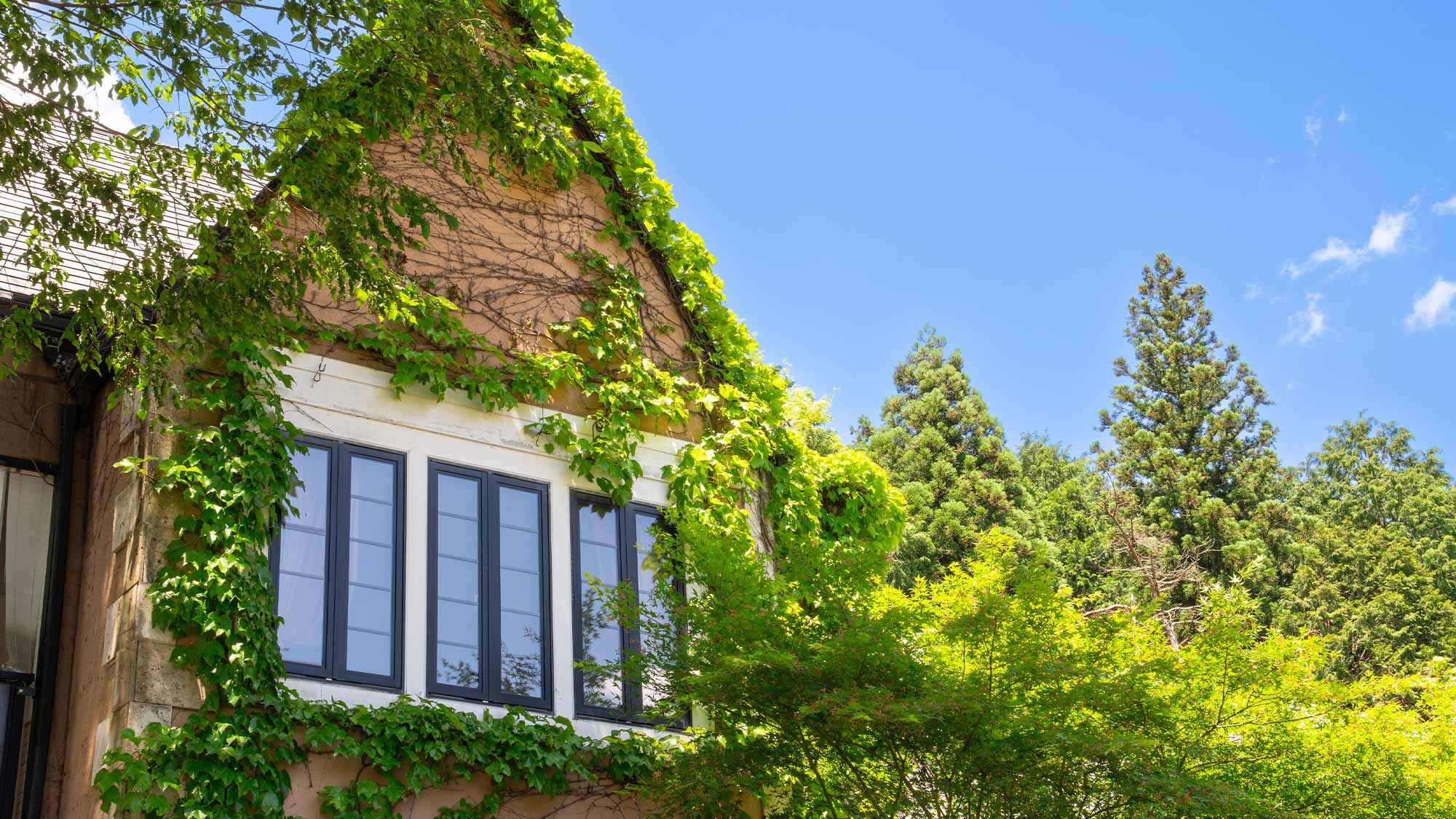 【外観】歴史深い日光の地で、海外旅行気分を味わうことができます。