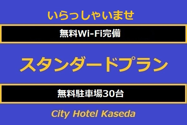 南薩の旅応援!スタンダードプラン【素泊り】  予約時オンラインカード決済 　