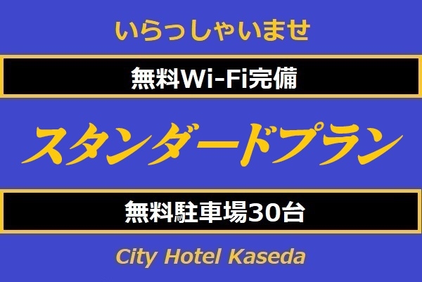 スタンダードプラン　ビジネスでのご利用に3室限定
