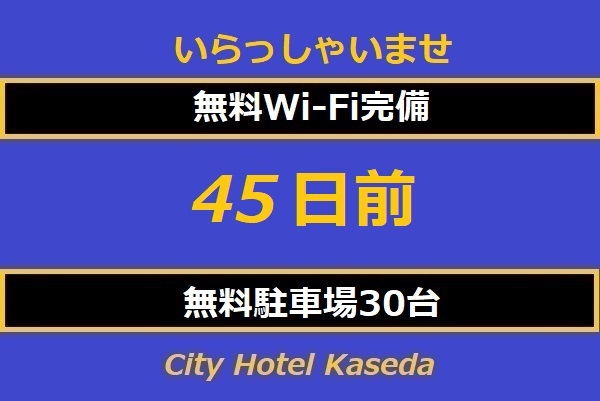 早めのご予約でお得!45日前プラン　【素泊り】　 予約時オンラインカード決済 