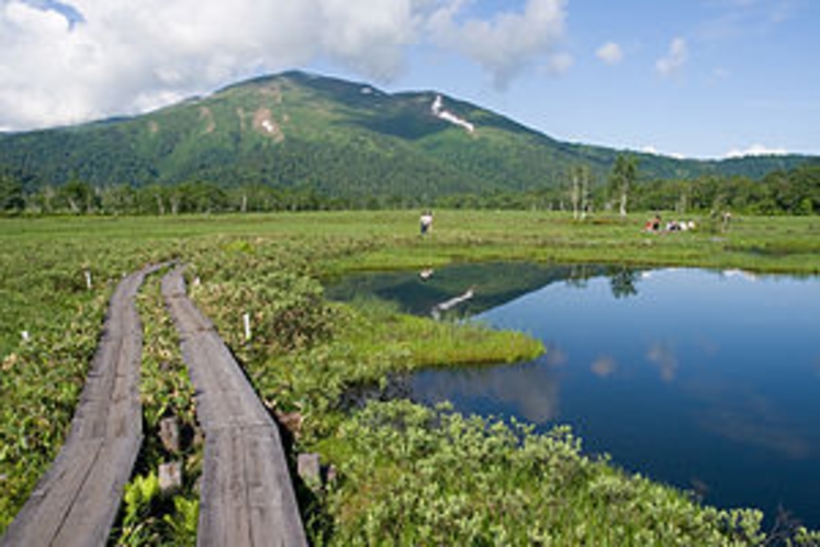 尾瀬と至仏山