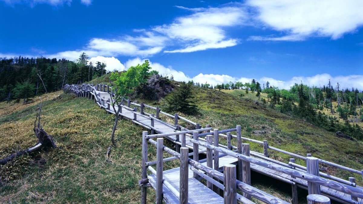 ■白湯山遊歩道