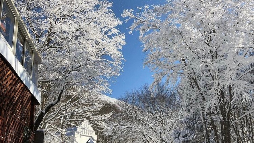 樹氷がキレイ★