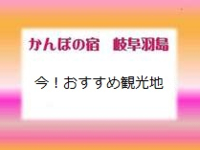 現在イベント開催中！おススメスポット☆