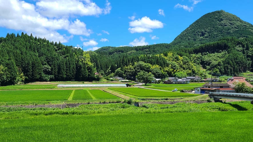 のどかな田園風景