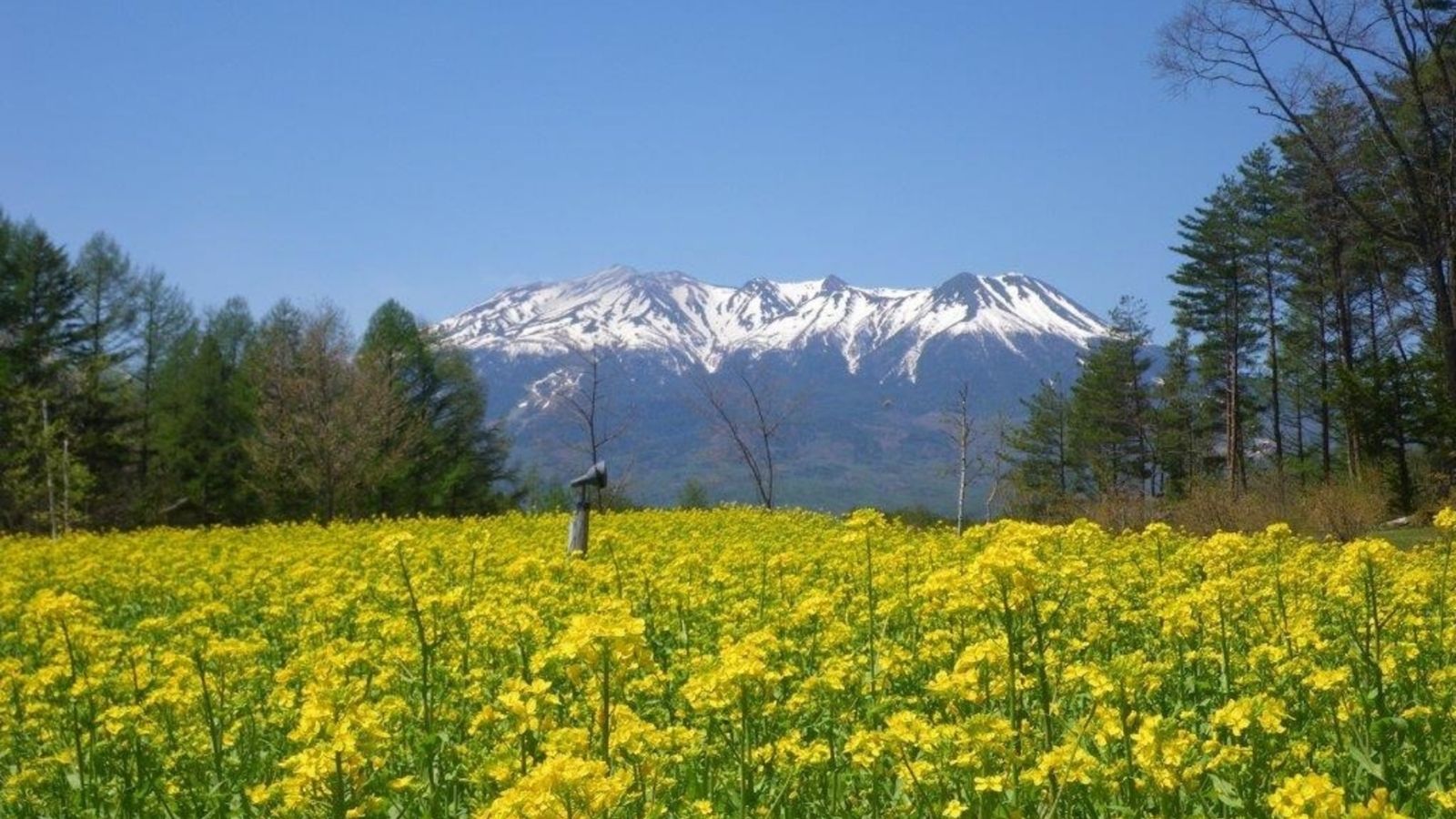 御嶽山