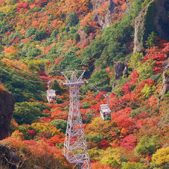 ◆寒霞渓ロープウェイ｜紅葉シーズンは山全体が秋色に♪