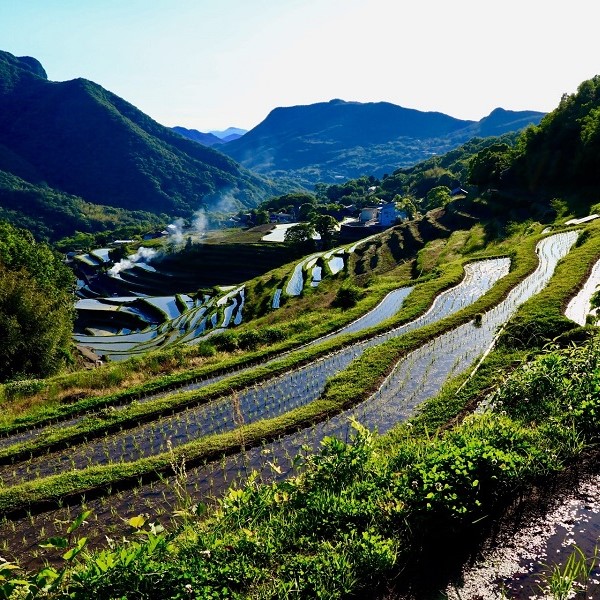 ◆中山千枚田｜日本名水百選にも選ばれている「湯舟の名水」が流れ込む美しい棚田