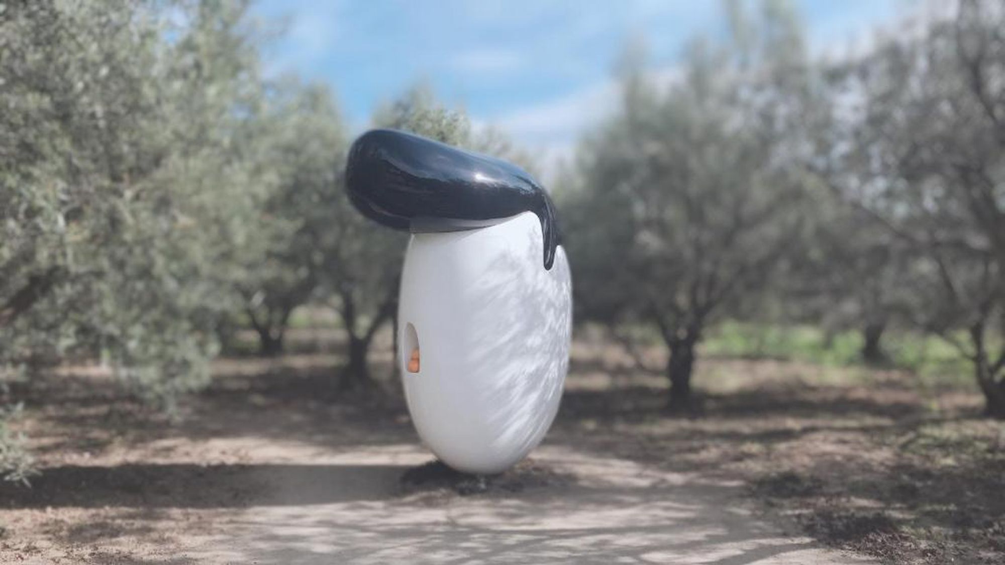 ◆オリーブのリーゼント