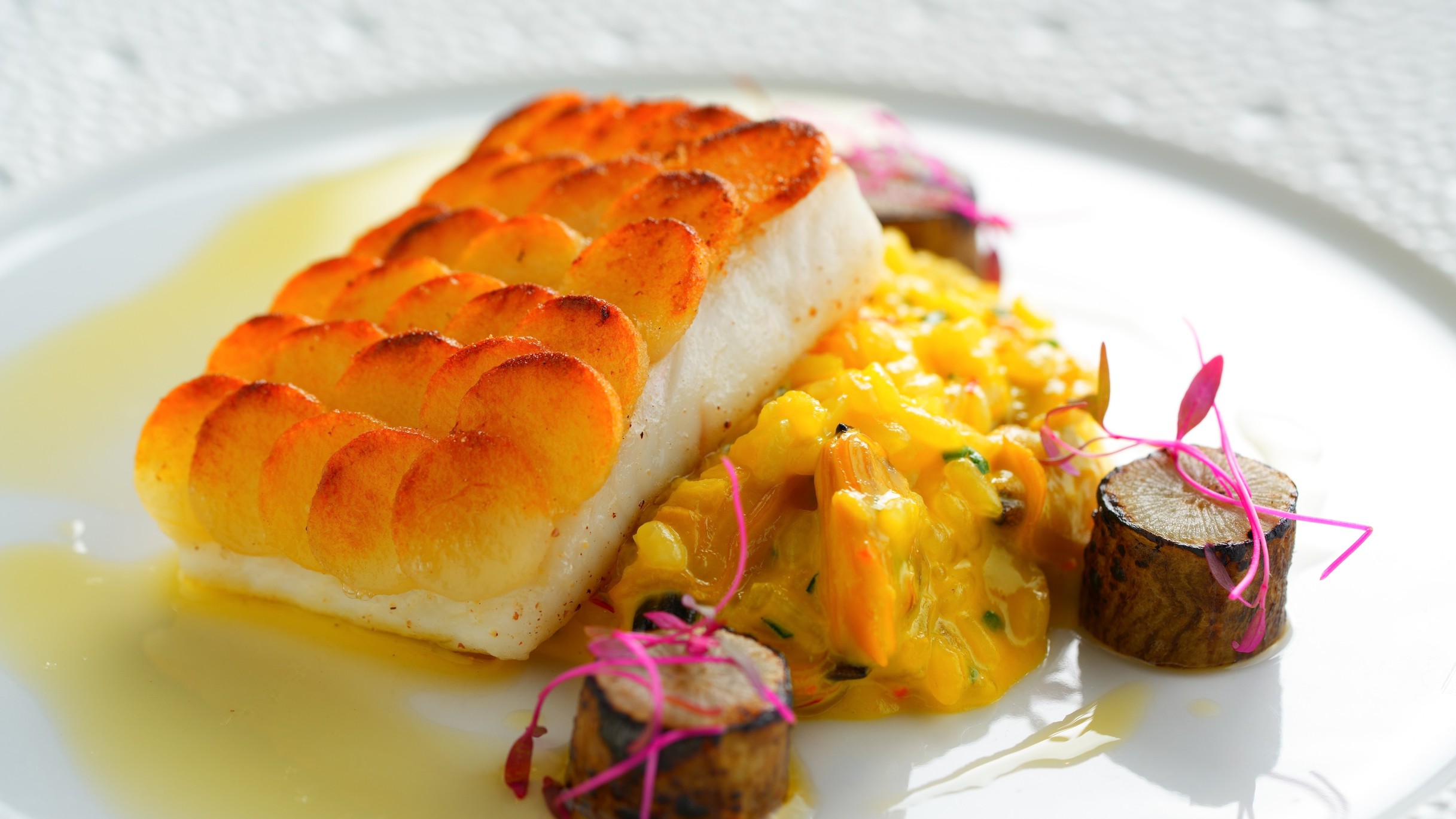 【さき楽60】グレードアップコースが15％OFF★季節の恵みを愉しむ創作フレンチコースをお得に堪能