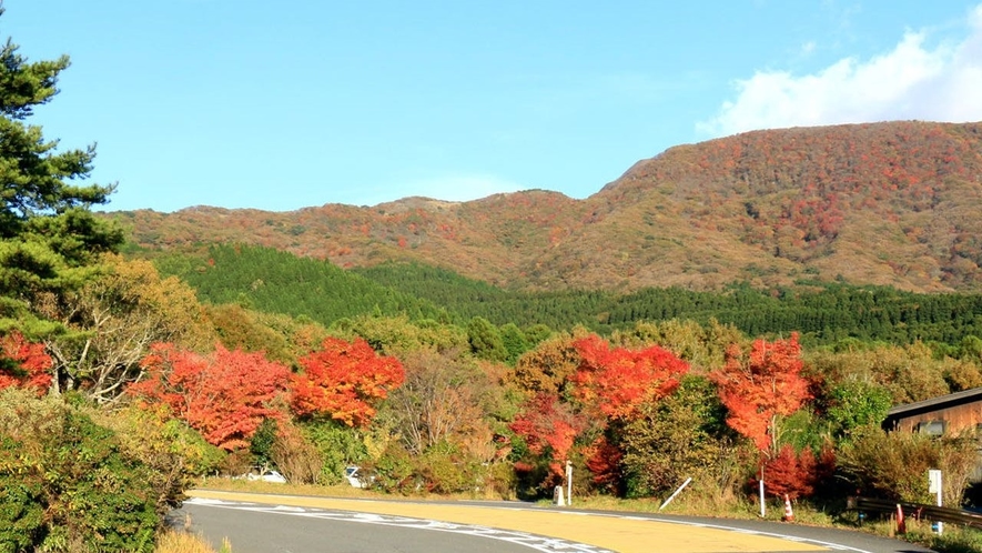 【景色】澄んだ空気と色鮮やかな山々♪11月中旬頃まで見頃です☆