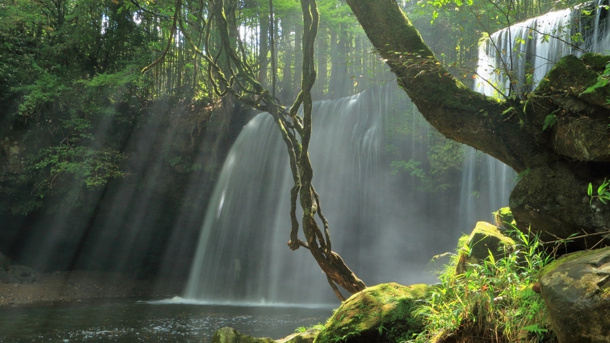 【周辺観光】鍋ケ滝。熊本県と大分県の県境に位置する阿蘇郡小国町にある美しい滝。自然に癒されたい方。