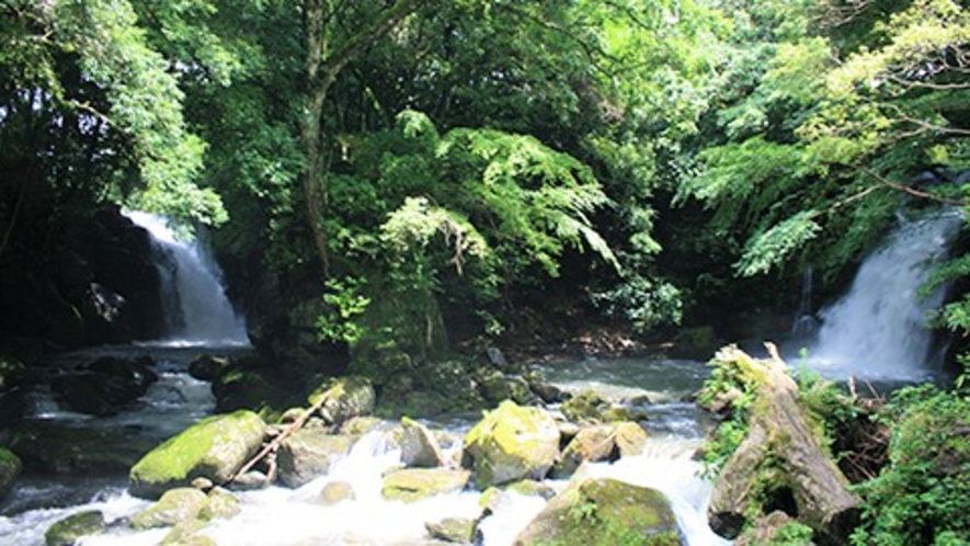 【周辺観光】夫婦滝。2つの川が1本の川に合流する珍しい滝で恋人の聖地としてカップルに人気です。