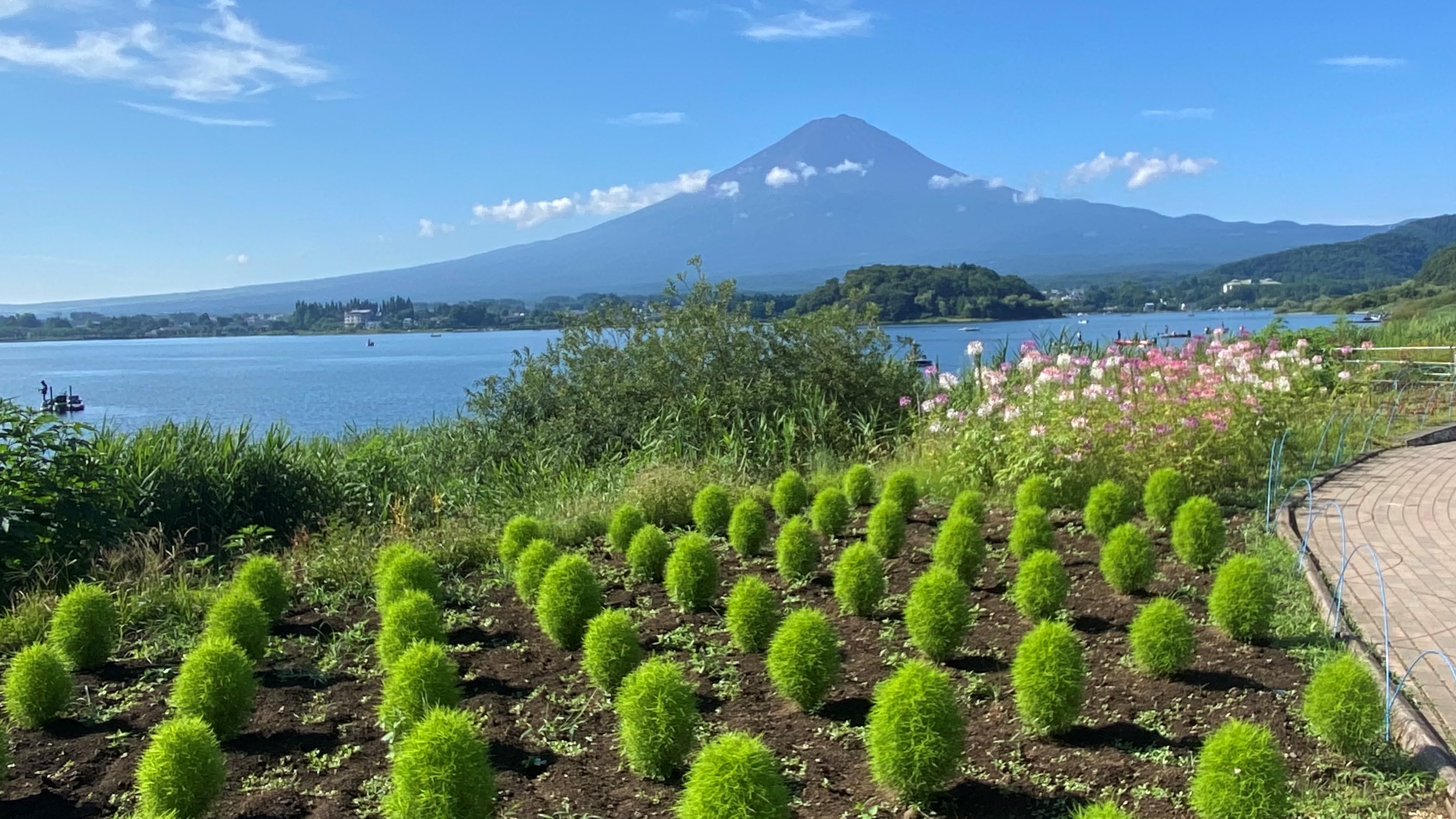 河口湖の夏