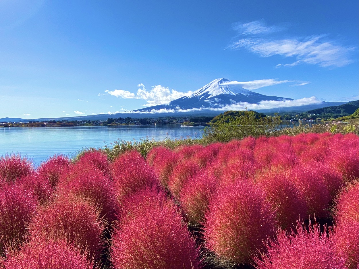 絶景です！-20211026