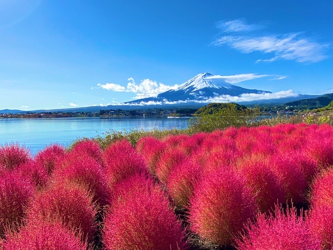 絶景です！-20211026