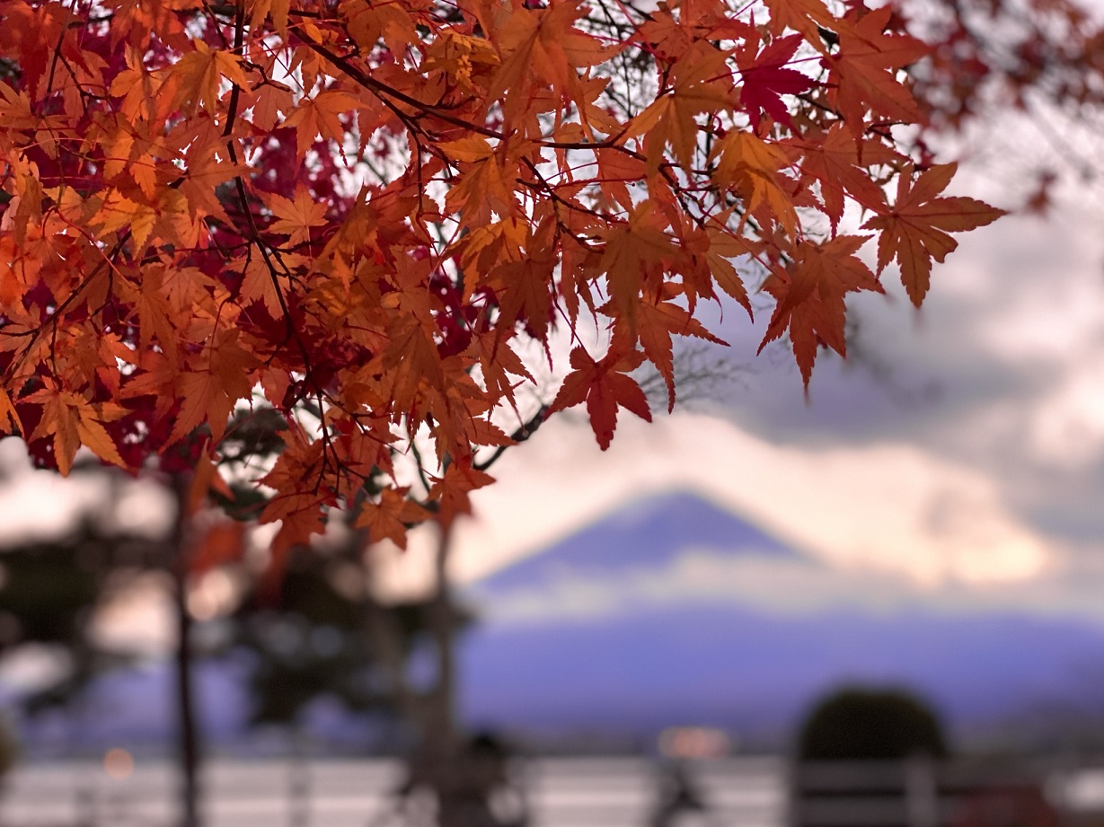 紅葉回廊の一角にて