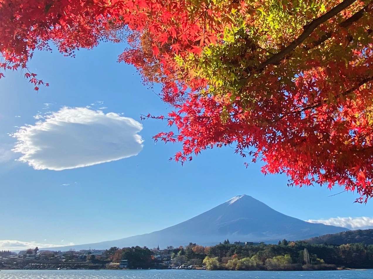 もみじトンネルにて- グラデーション