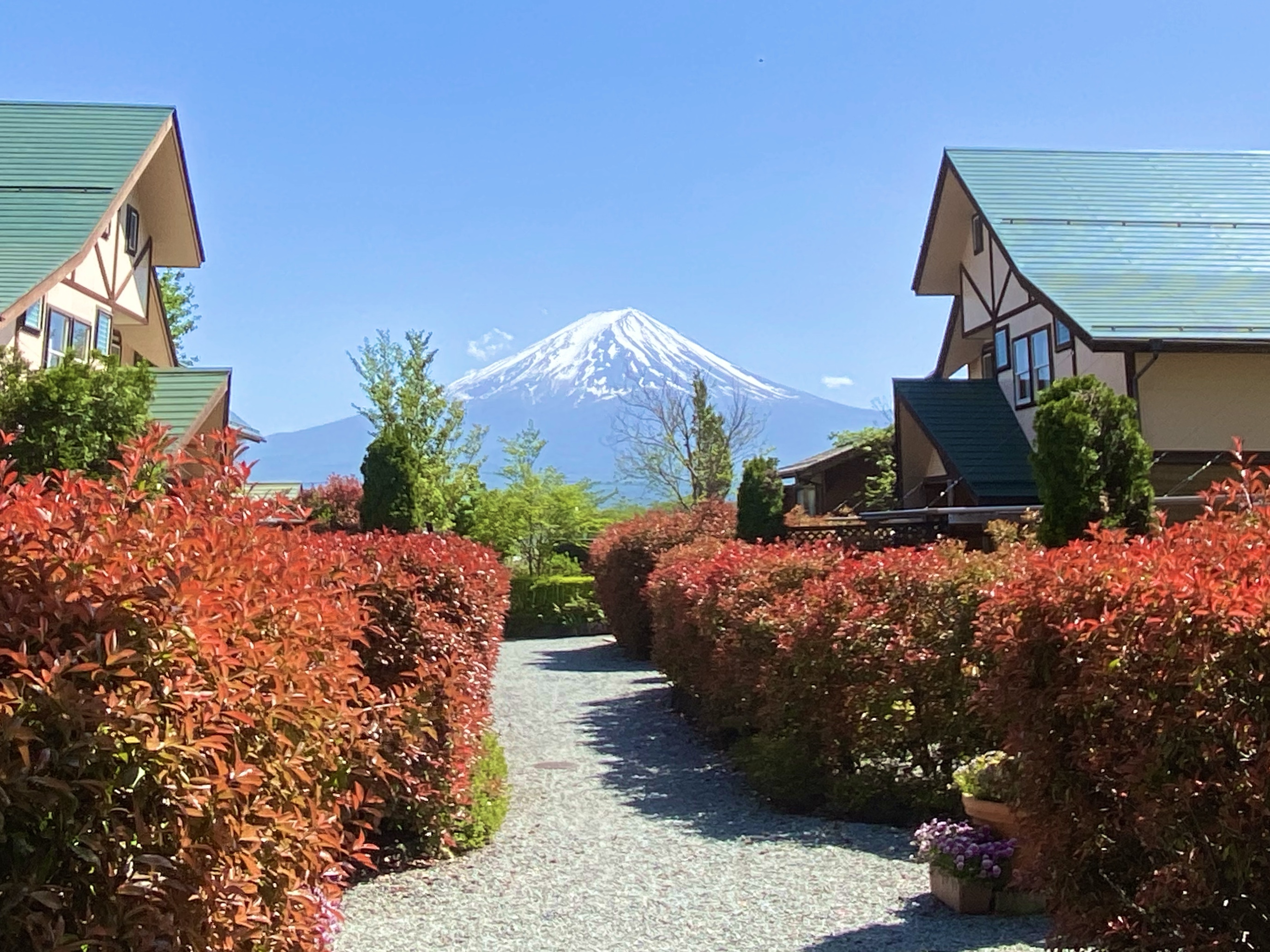 施設内からの富士山