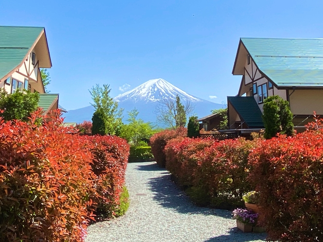 施設内からの富士山