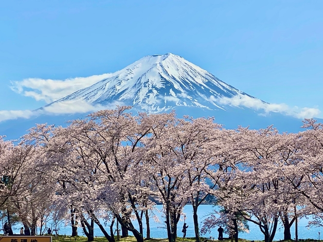 絶景です