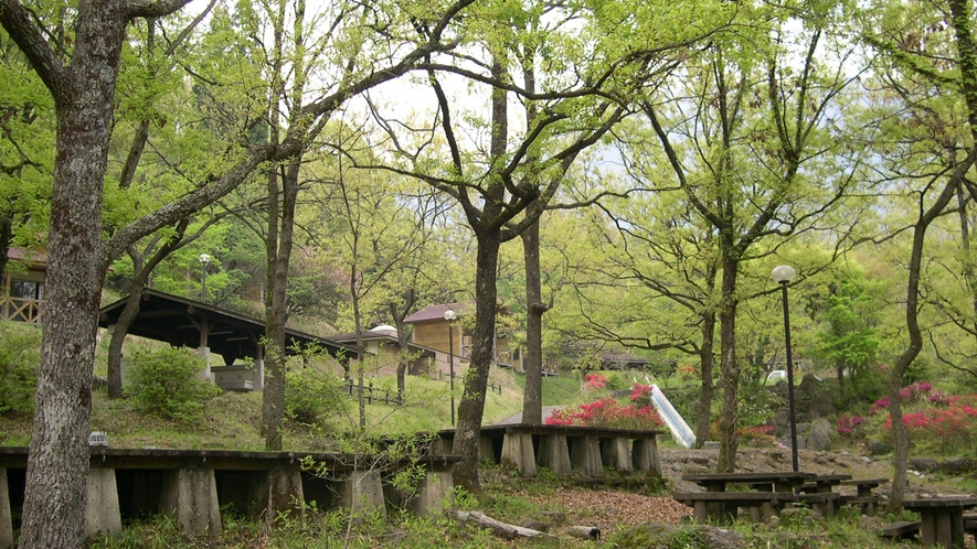 *清々しい自然の中に佇む市房山キャンプ場