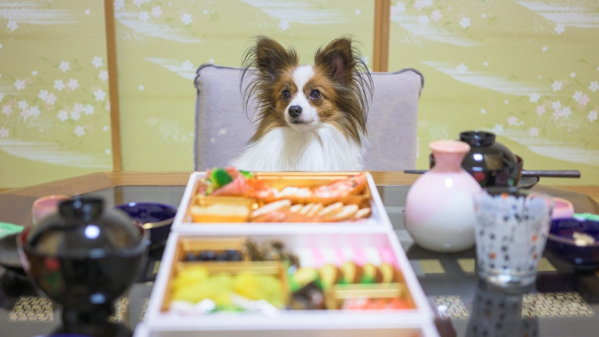 ≪12/31ご宿泊≫愛犬と飼い主様へのご褒美〜本屋敷　極み雪旅（愛犬も飼い主様も翌朝おせち料理）