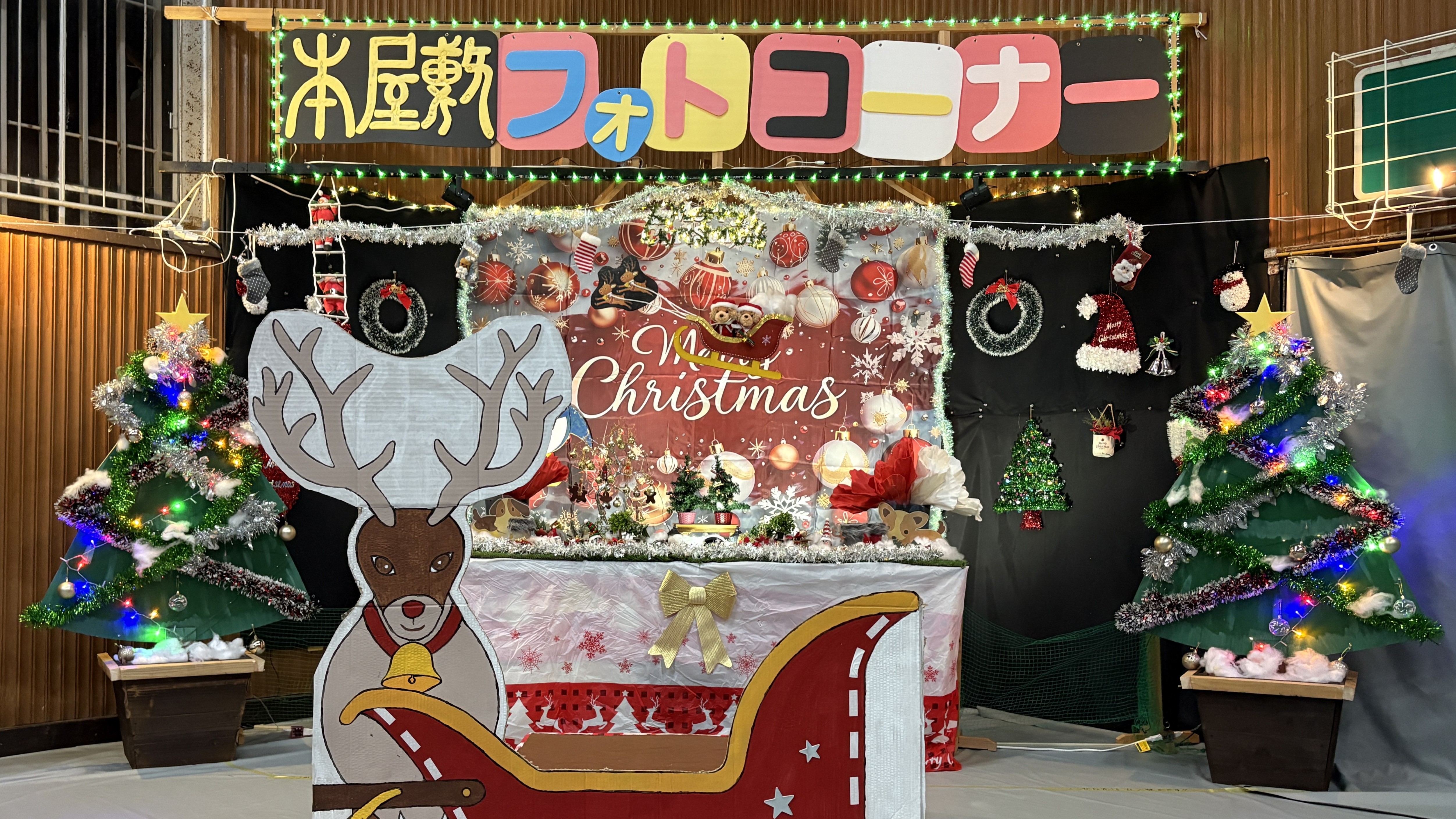 年末までのフォトコーナー！「トイプーサンタのジングルベル」