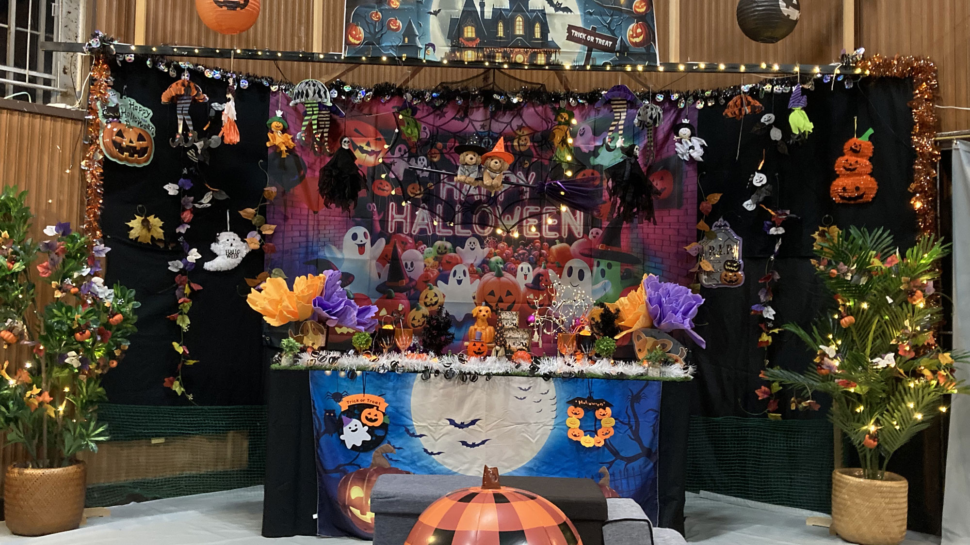 2024年　ハロウィン　フォトコーナー