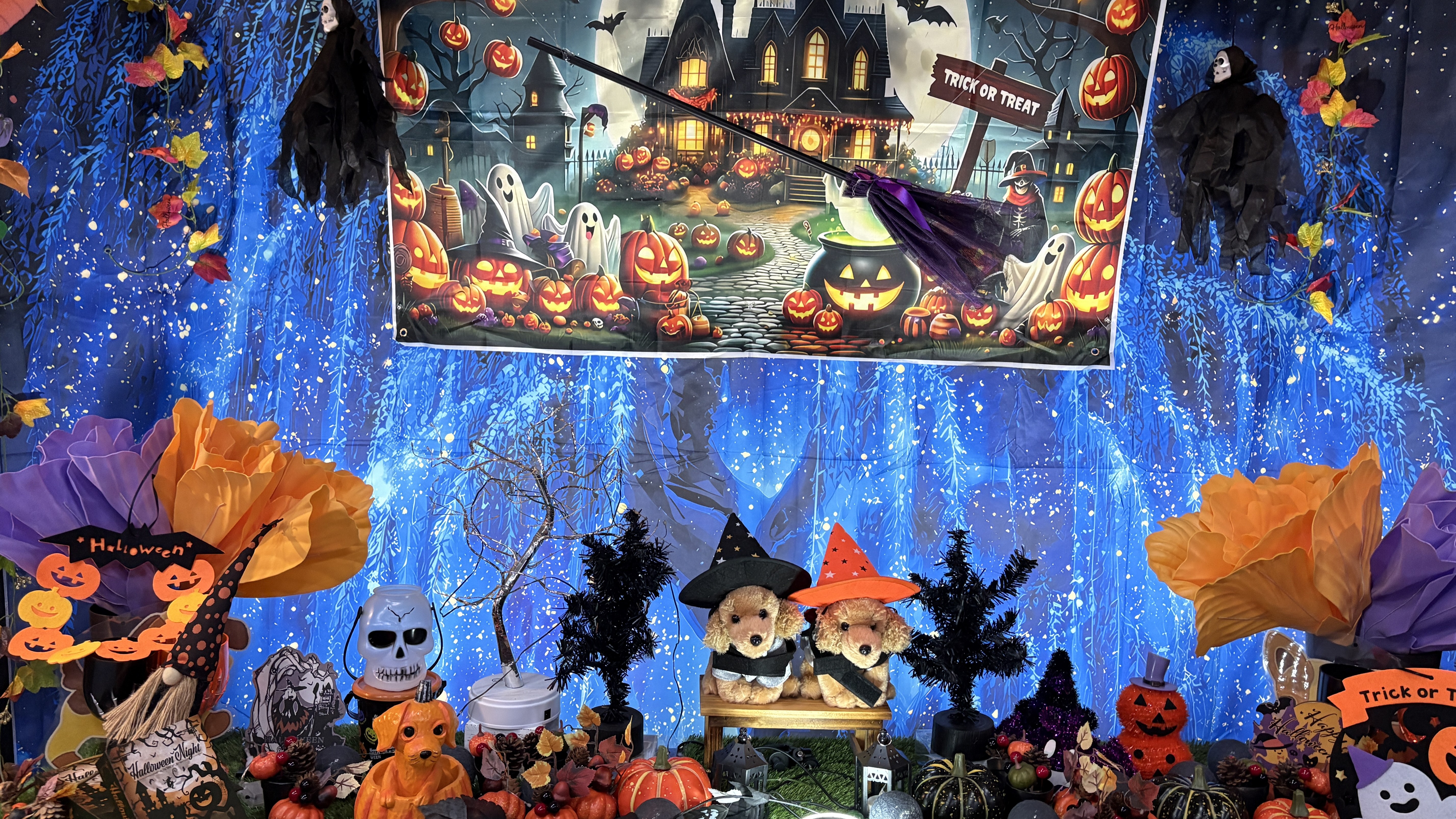 テーマはトイプードル　ハロウィン2025