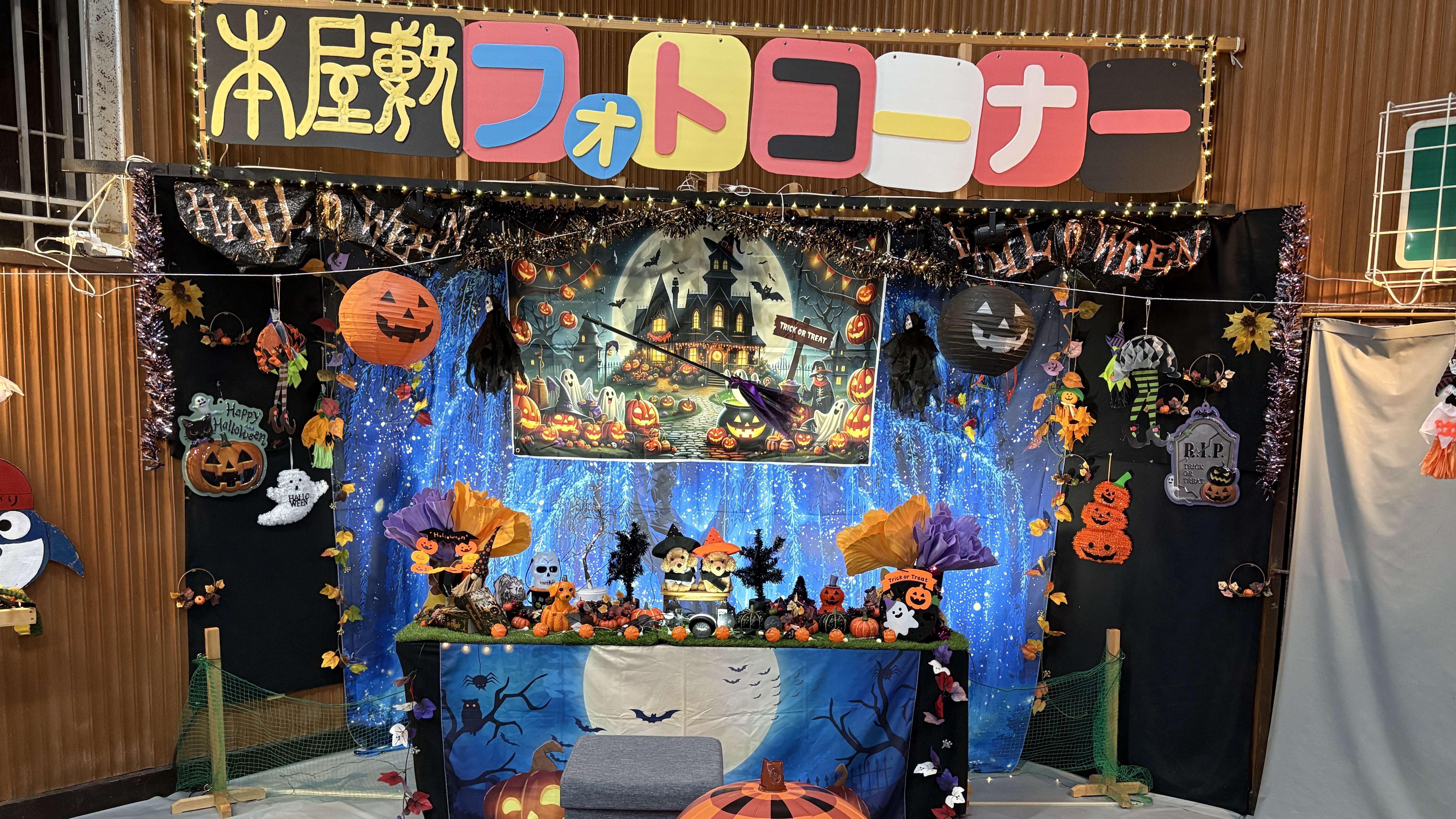 テーマはトイプードル　ハロウィン2025