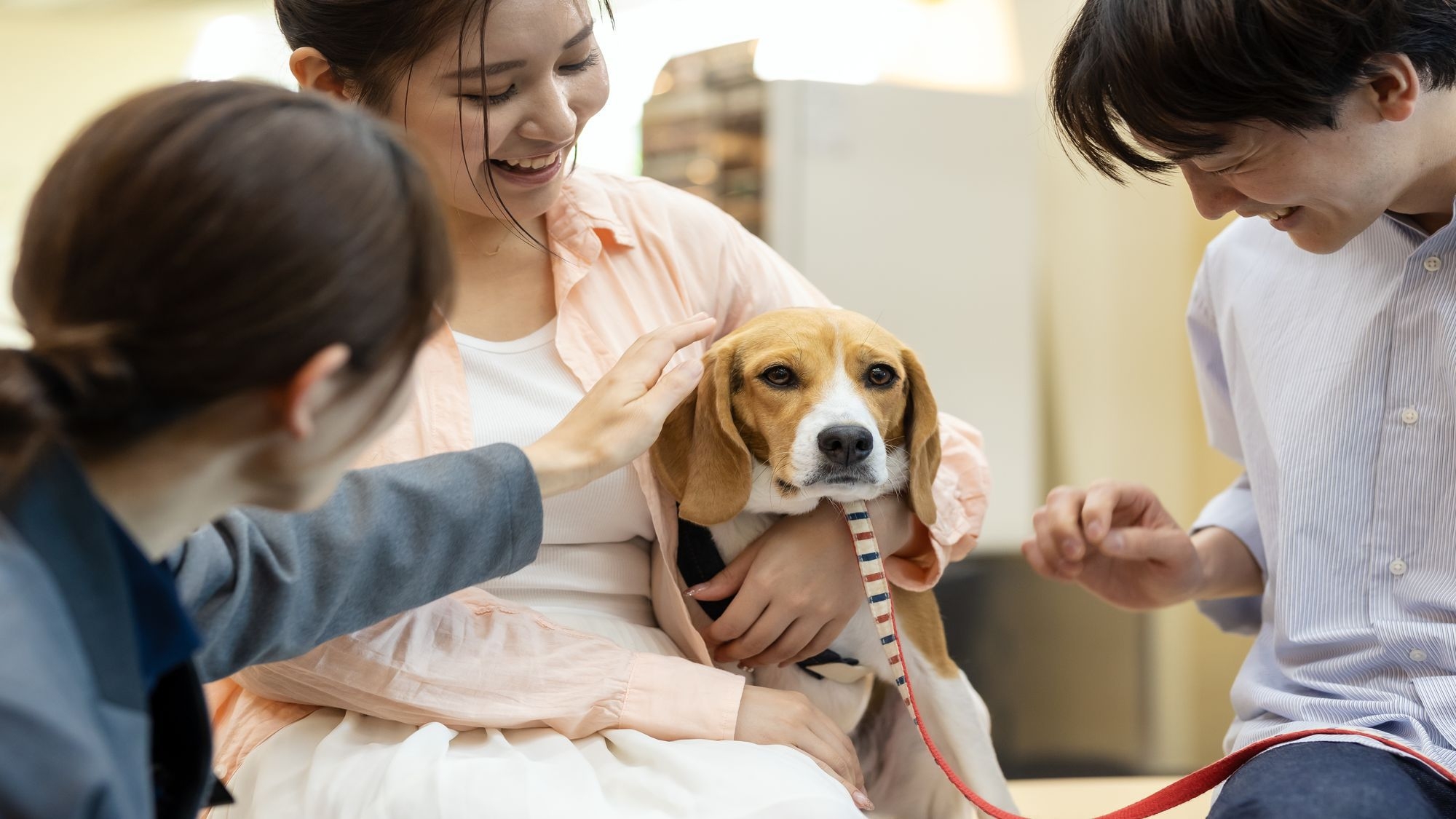 2026年4月わんちゃんと泊まれるホテルにリブランド【特別会席】旬の海の幸 山の幸を満喫する